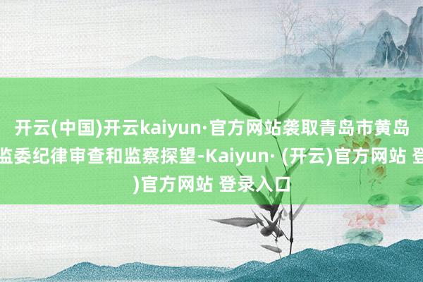 开云(中国)开云kaiyun·官方网站袭取青岛市黄岛区纪委监委纪律审查和监察探望-Kaiyun· (开云)官方网站 登录入口